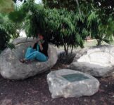 מסלול טיול יער חולדה