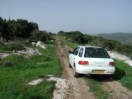 הדרך להר שוכה. מרבדים של פריחה בסוף החורף