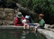 עין טייסים. משכשכים רגליים