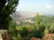 יער ביריה. חלון אל הנוף