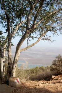 נוף ממרומי הגלבוע לעמק יזרעאל