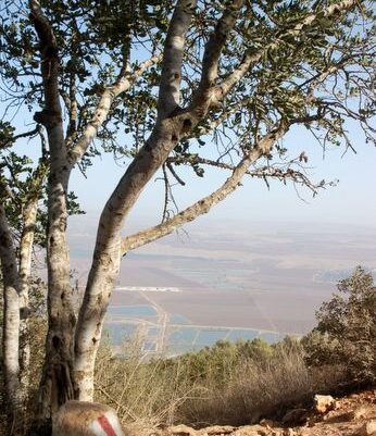 נוף ממרומי הגלבוע לעמק יזרעאל