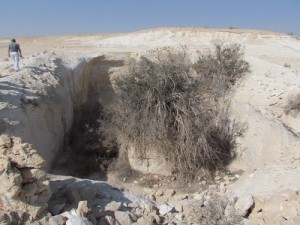 בור מים אזור שבטה