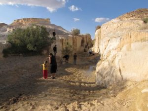 הקניון הלבן