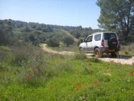 ג'ימני בן שמן 4X4