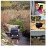 נחל הבשור טיול ג'יפים