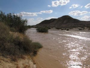 נחל פארן שיטפון