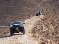 סכין ציפורים