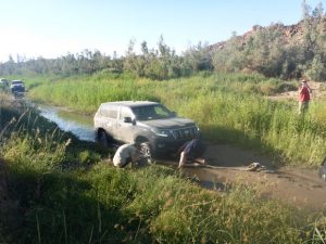 טויוטה לנד קרוזר שטח 4X4 מבחן נמיביה
