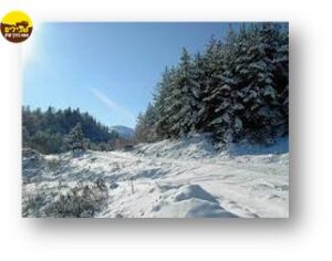 SNOW ROAD שלג גוארגיה