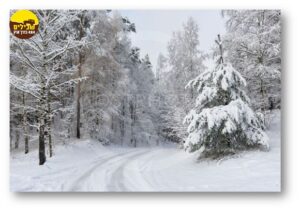 שלג גיאורגיה
