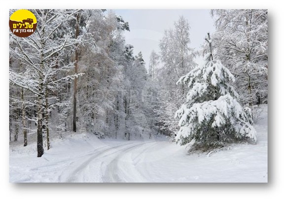 שלג גיאורגיה שלג גיאורגיה