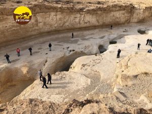 גבי פרס נוף סלעים נקיק