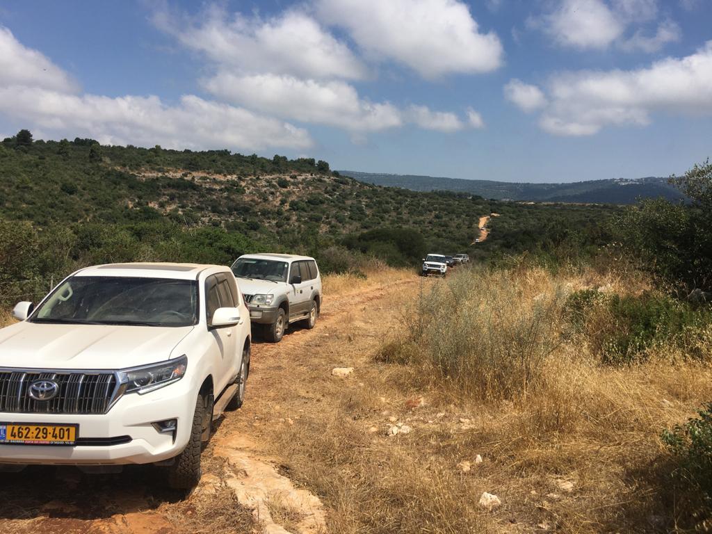 WhatsApp Image 2020-07-04 at 19.48.57 גלי מערבי