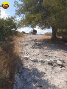 יער רמות מנשה