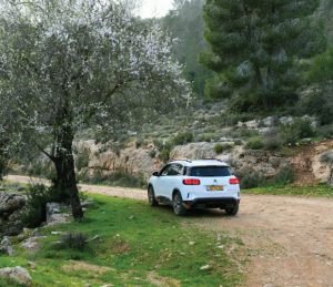 ג'יפונים, SUV, רכבי פנאי, הרי ירושלים סיטרואן C-CROSS