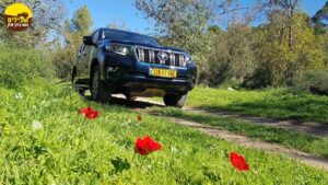 לנדקרוזר 2021