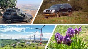 קולאז אירוס הגלבוע