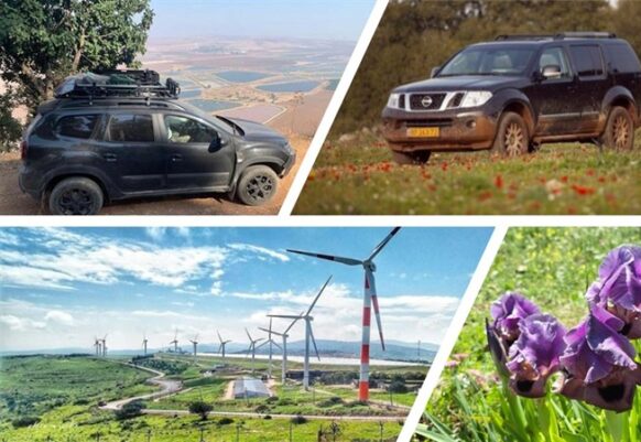 רכס הגלבוע: בעקבות הכתם הסגול (אירוס הגלבוע)