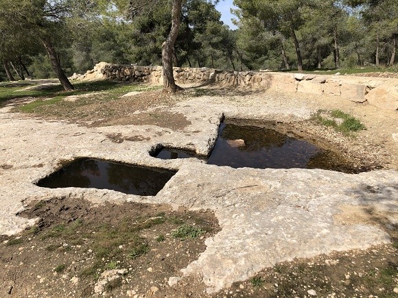 דרך המתקנים החקלאיים, טיולי משפחות, רכבי פנאי, SUV, ג'יפונים