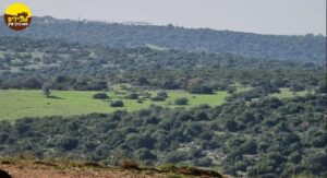 לכיש, טיול ג'יפים, טיול שטח נוף