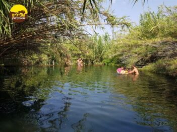 ציר המעיינות, רמת הגולן, טיול ג'יפים מעיין מים