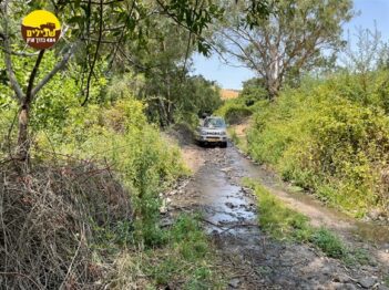 ציר המעיינות, רמת הגולן, טיול ג'יפים בוץ שביל