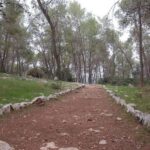יער הקדושים, הרי יהודה נוף