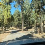 יער הקדושים, מעיינות בהרי יהודה, טיול באמצע השבוע