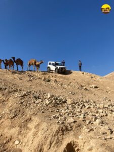 מדבר יהודה ג'יפ גמלים נוף