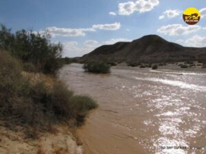 נחל פארן זרימה חורף שיטפון