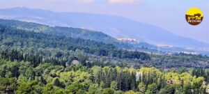 רמות מנשה נוף