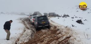 שלג הרי הגולן Snow Golan Heights