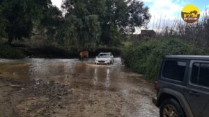 Subaru Forester 4X4 רמת הגולן Golan Heights