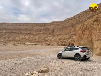 ערבה סובארו XV