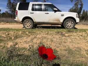 דרום אדום, כלניות, טיולי משפחות, רכבי פנאי, SUV