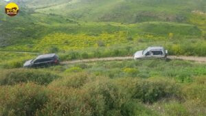 דרום רמת הגולן