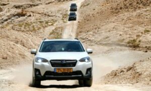 יער יתיר, סובארו XV