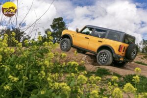 פורד ברונקו 4X4 צילום אלון רון