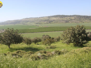 לכיש עדולם 09/04/22