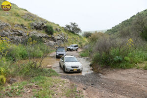 סובארו נחל תבור