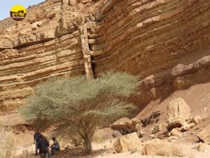 נחל ארדון, מצפה רמון