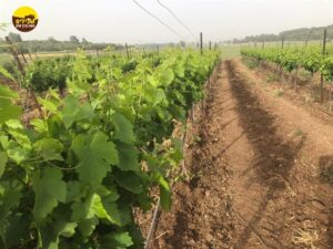 דרך בורמה, הרי ירושלים