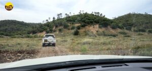 כרמל, רכב רך