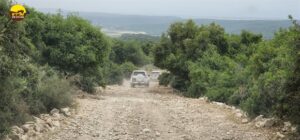 כרמל, רכב רך