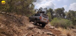 ציר הג'ימנאים