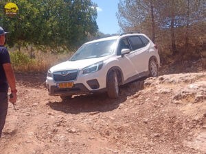 פורסטר הרי ירושלים