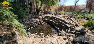 RAMAT GOLAN NILLY (1 רמת הגולן