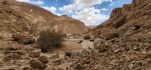 אל דרך הבשמים - דף טיול