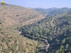 נוף הרי ירושלים